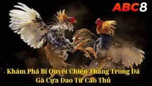 Đá Gà Cựa Dao