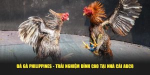 đá gà Philipines